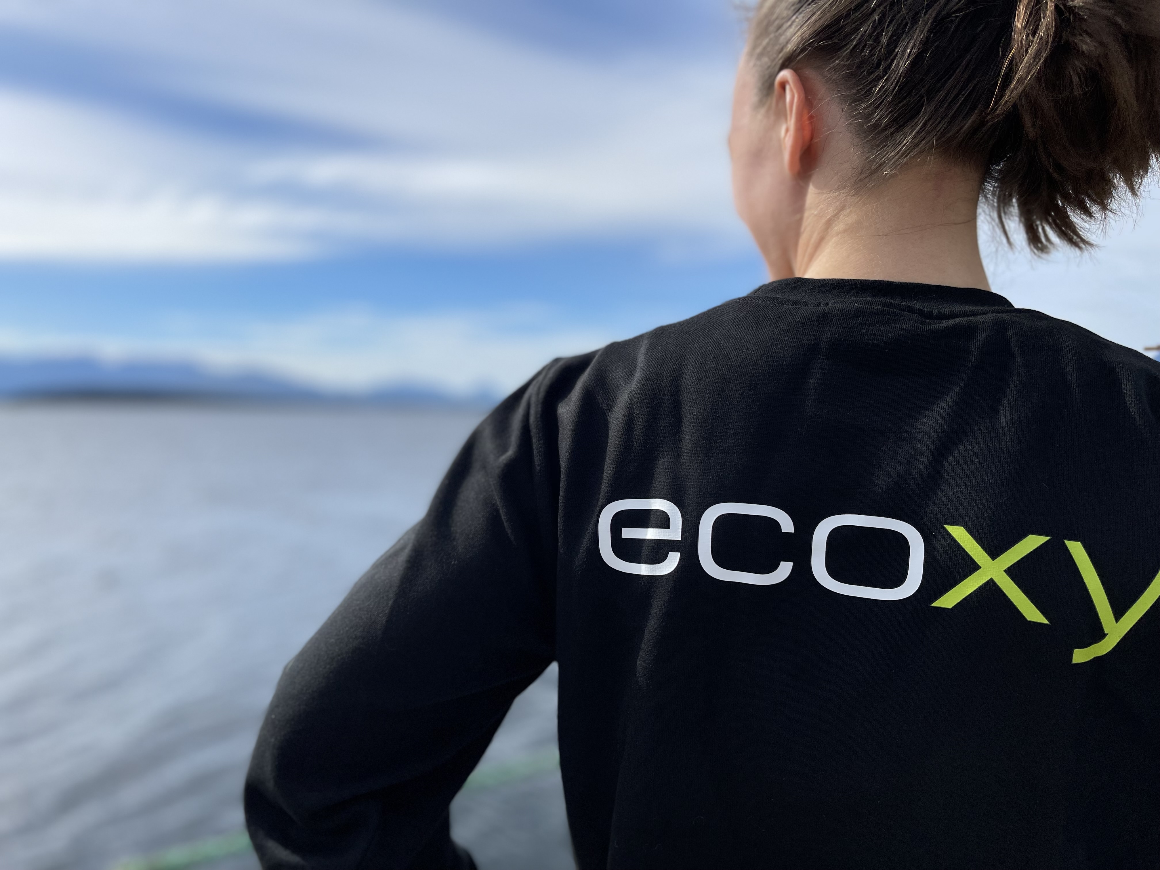 Ecoxy avgassmåling